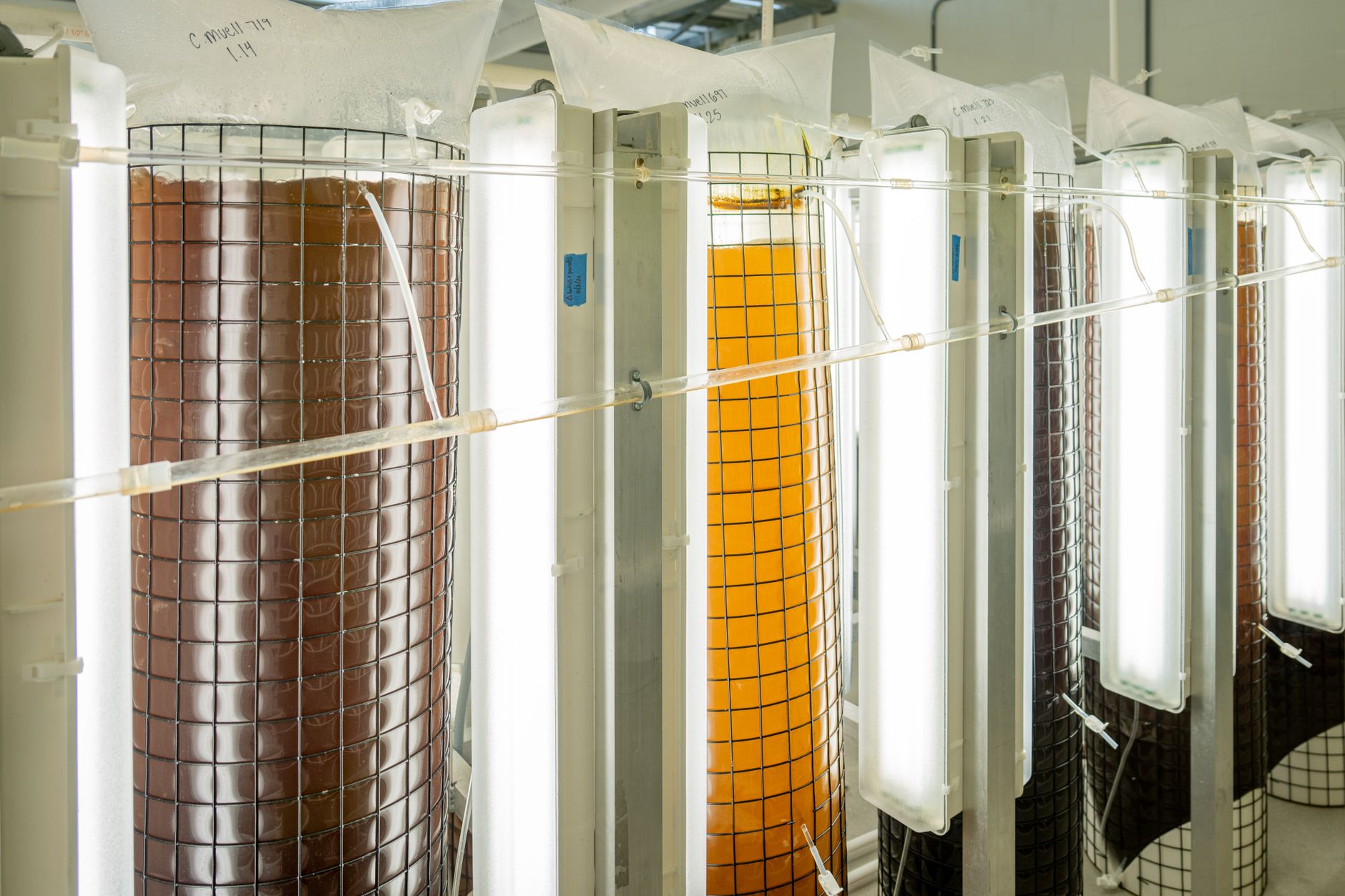 Lebende Mikroalgen-Wandmodule: Luftreinigung, Akustik und Ambient-Light für Zuhause (24 V DC)